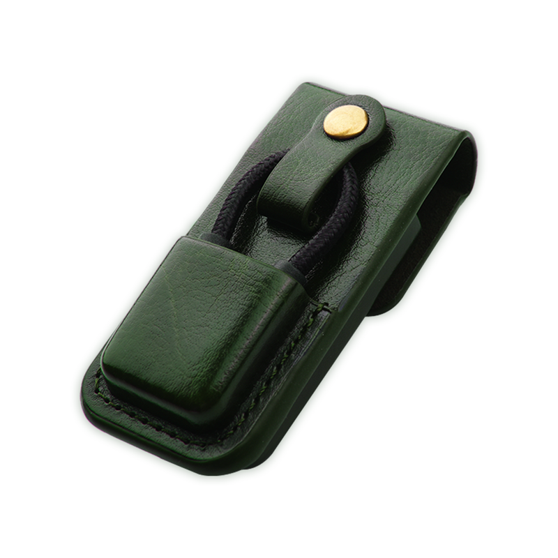 Lotoo PAW S1 and S2 Carrying Case