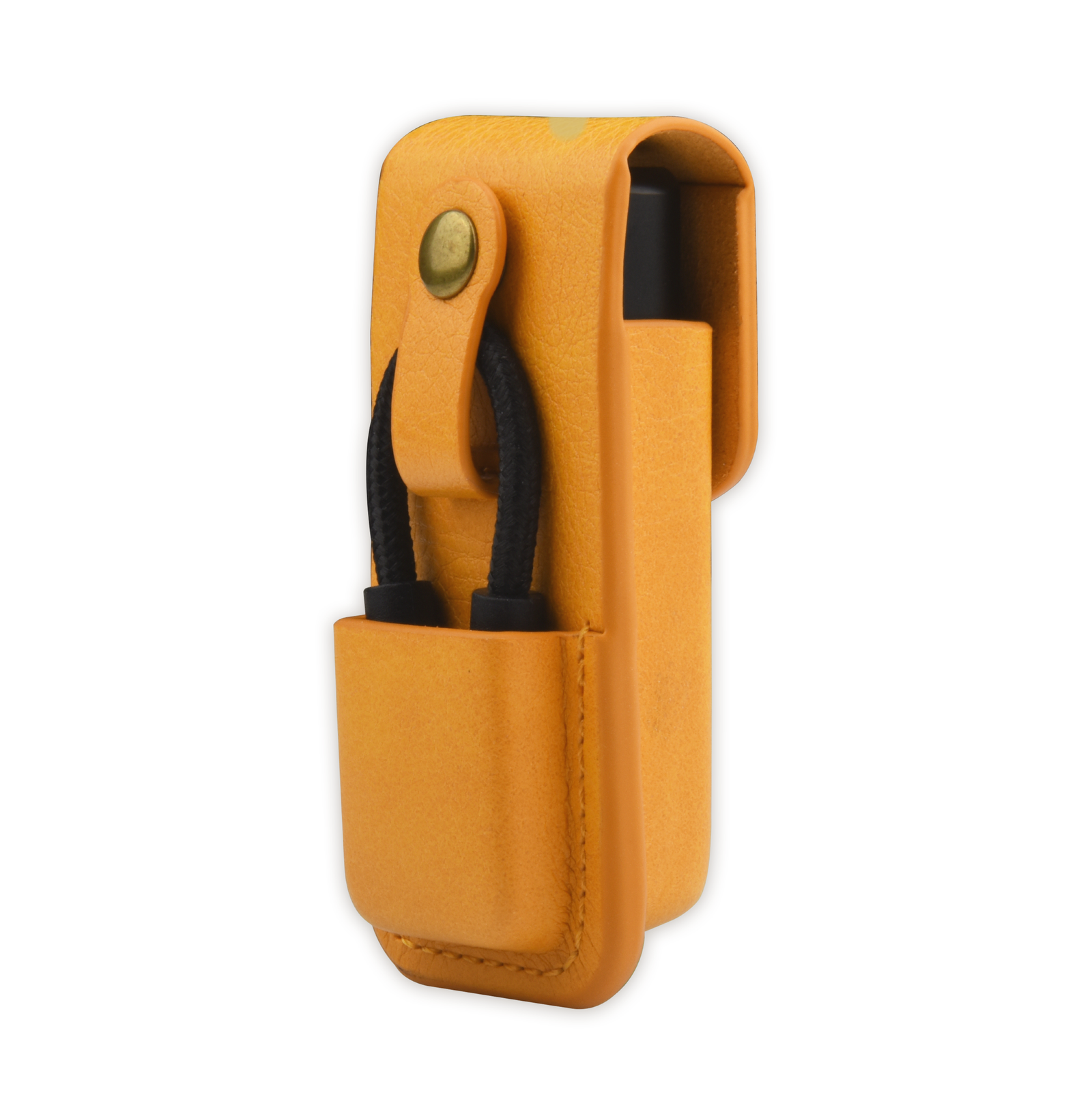 Lotoo PAW S1 and S2 Carrying Case – Project Perfection