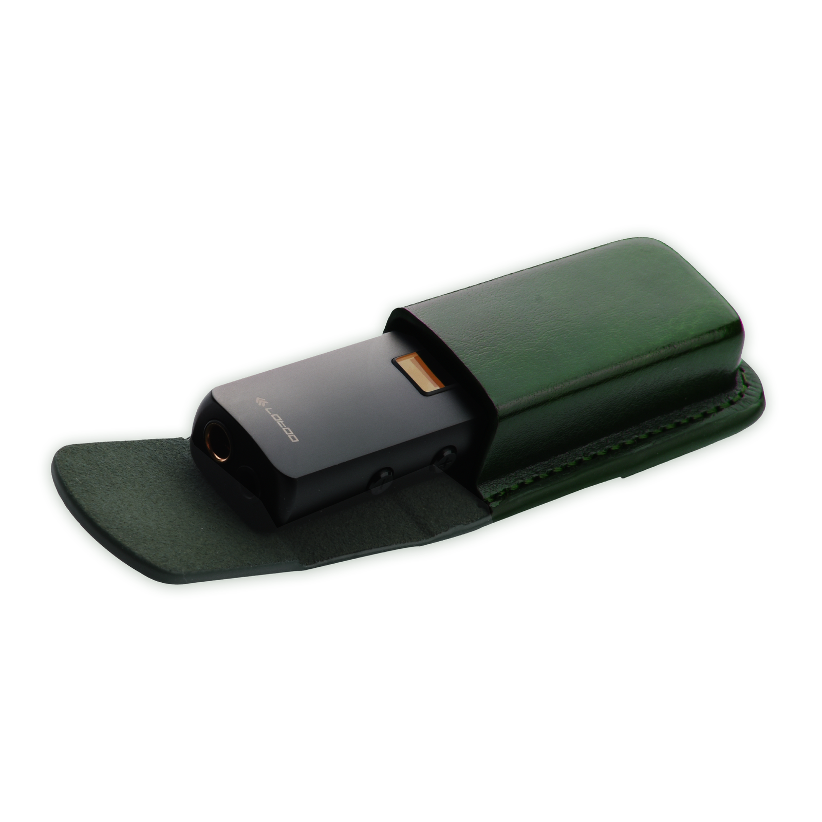 Lotoo PAW S1 and S2 Carrying Case – Project Perfection
